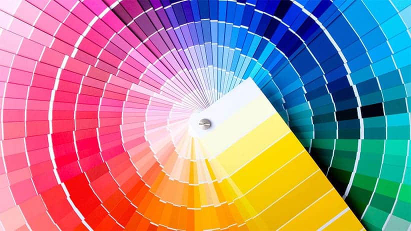 Favorite Color Branding Fundamentals Blog Color Chart