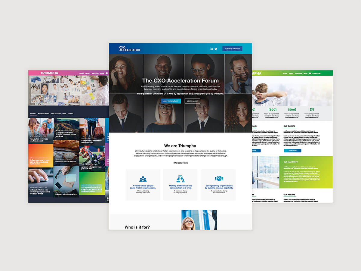 Branding Case Study Triumpha Website Screens